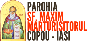 Acasă logo